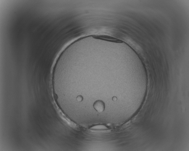 X0000073411200200608181047