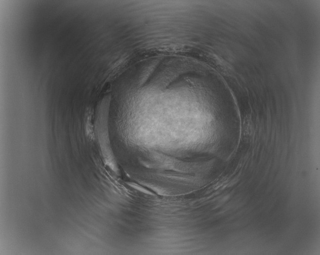 X0000073411202200608181046