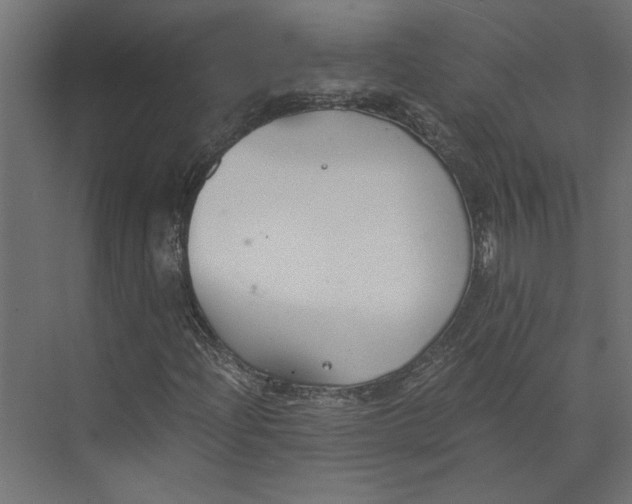 X0000073411204200608181046