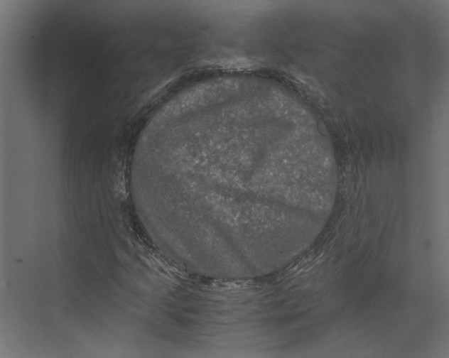 X0000073411205200608181046