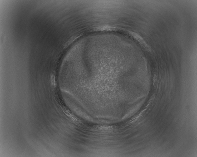 X0000073411209200608181046