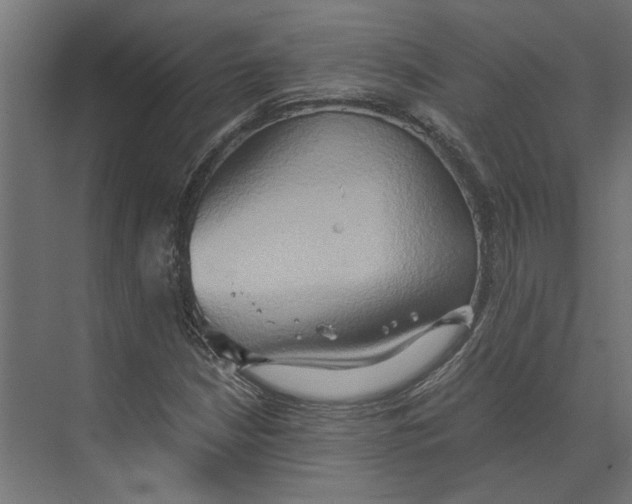 X0000073411210200608181046