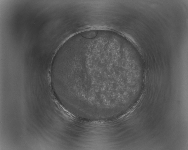 X0000073411212200608181046