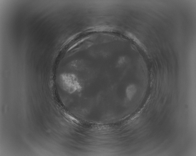 X0000073411213200608181046