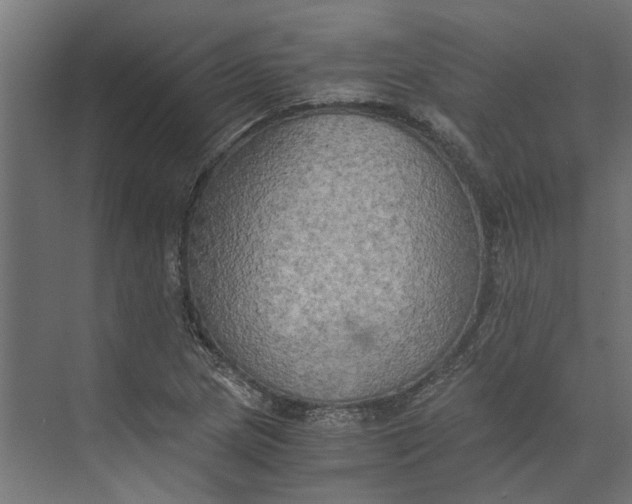 X0000073411217200608181046