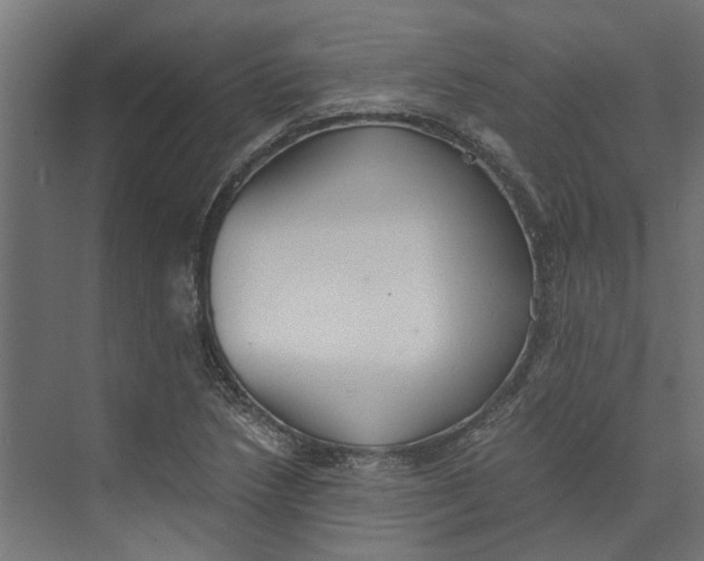 X0000073411218200608181046