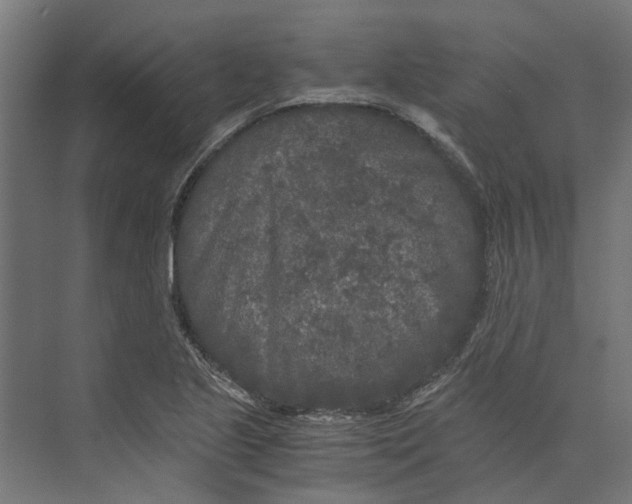 X0000073411221200608181046