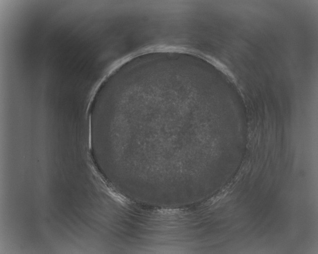 X0000073411223200608181046