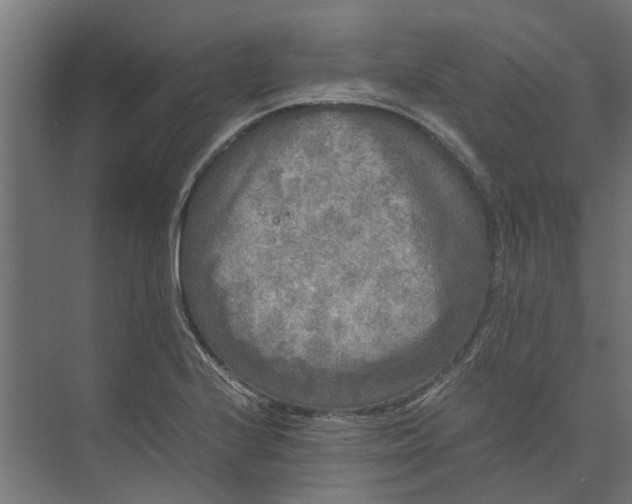 X0000073411224200608181047