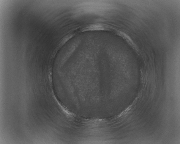 X0000073411225200608181047