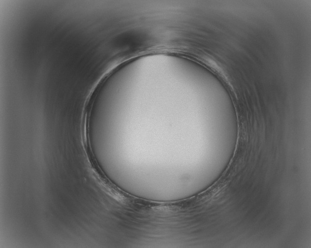 X0000073411227200608181047