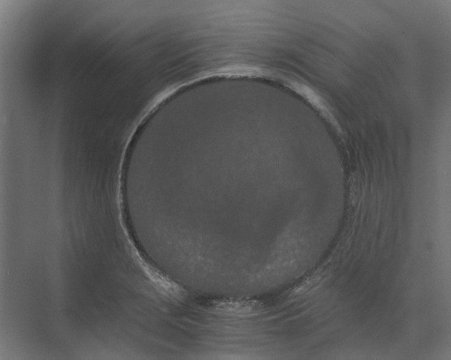 X0000073411229200608181047