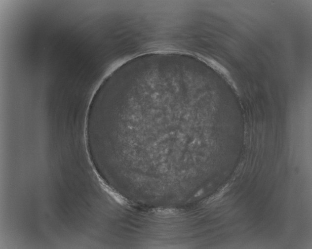 X0000073411231200608181047