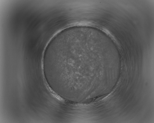 X0000073411232200608181047