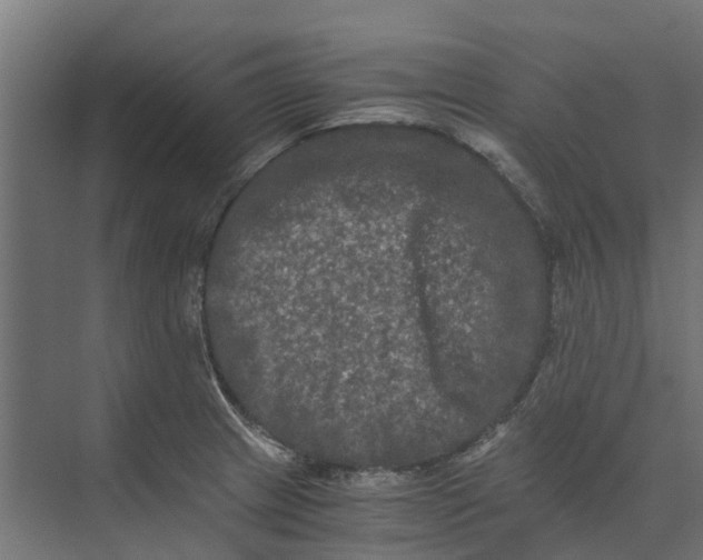 X0000073411233200608181047