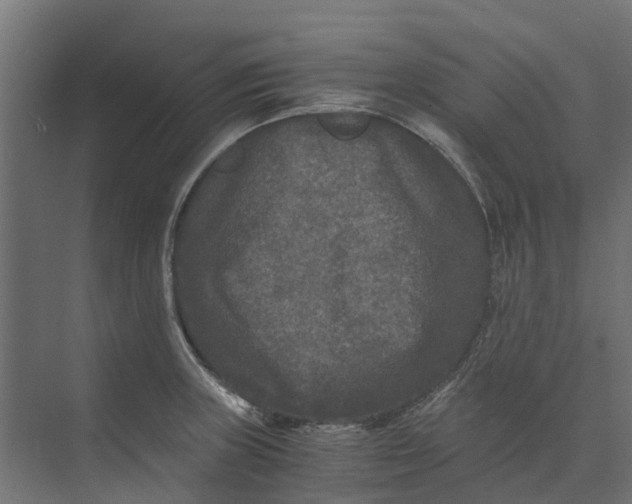 X0000073411235200608181047