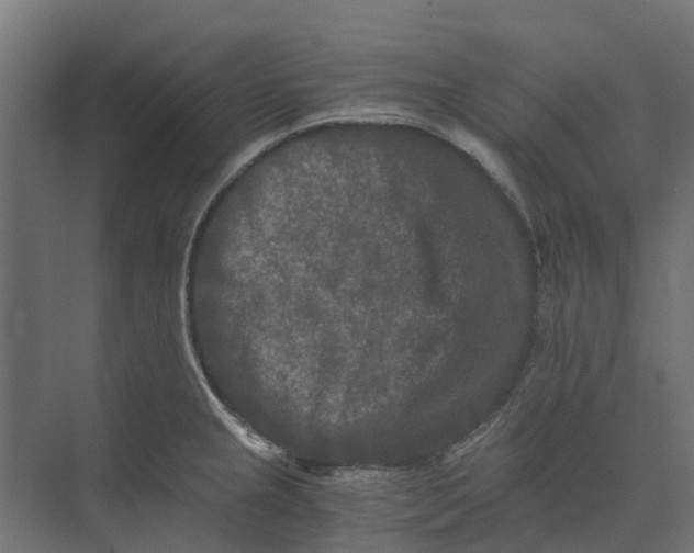 X0000073411237200608181047