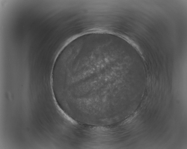 X0000073411239200608181047