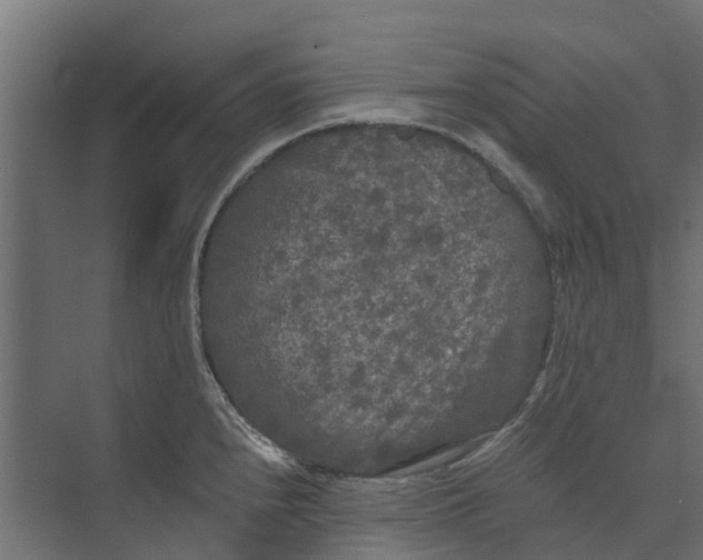 X0000073411240200608181047