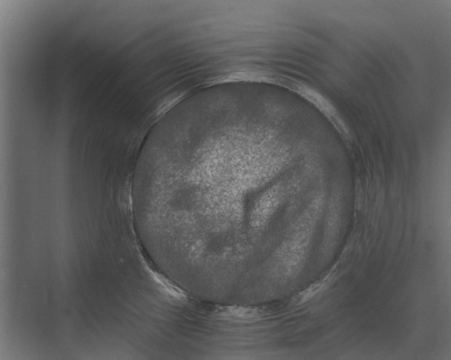 X0000073411241200608181047