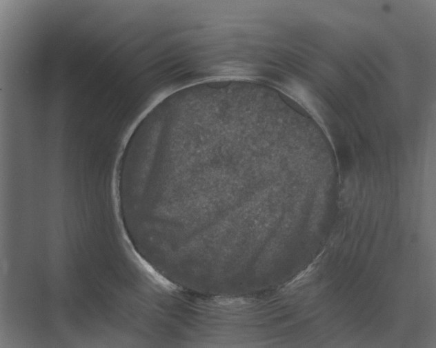 X0000073411243200608181047