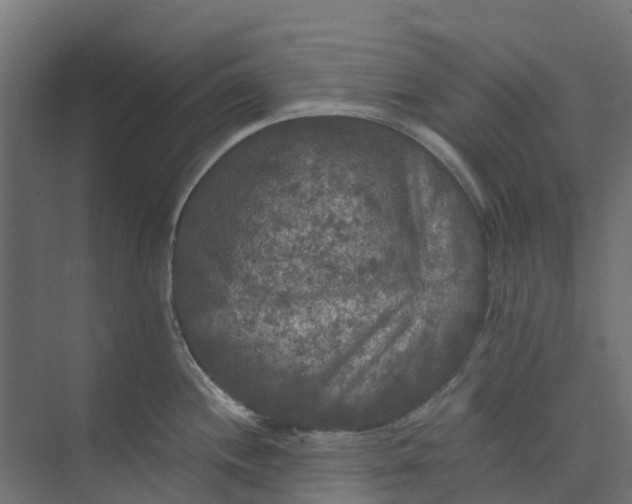 X0000073411244200608181047