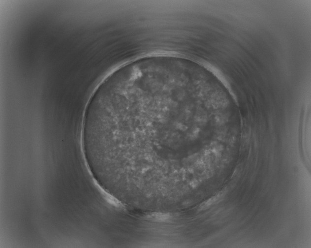 X0000073411245200608181047