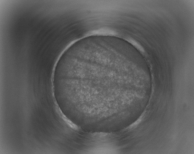 X0000073411248200608181047