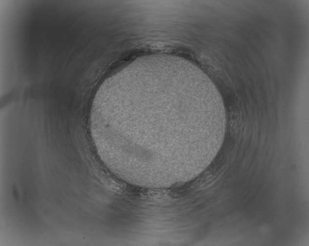 X0000073411249200608181046