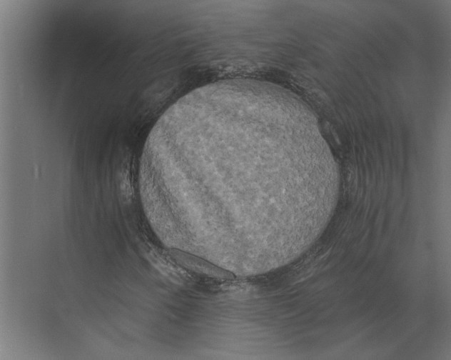 X0000073411250200608181046