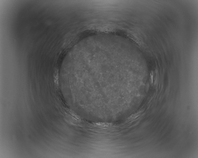 X0000073411251200608181046