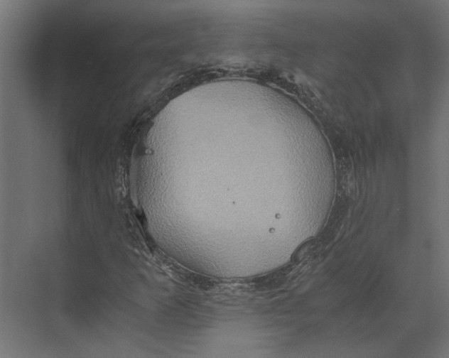 X0000073411253200608181046