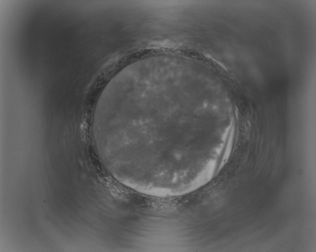 X0000073411254200608181046