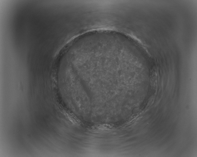 X0000073411255200608181046