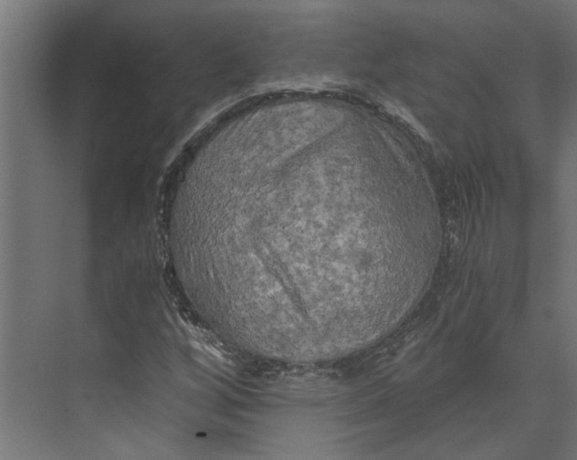 X0000073411256200608181046