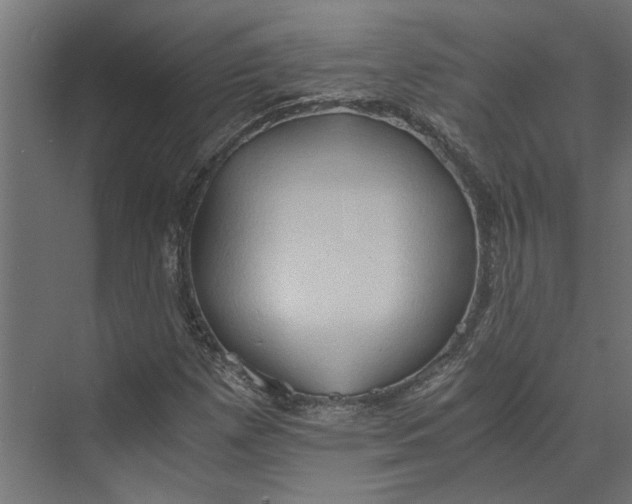 X0000073411257200608181046