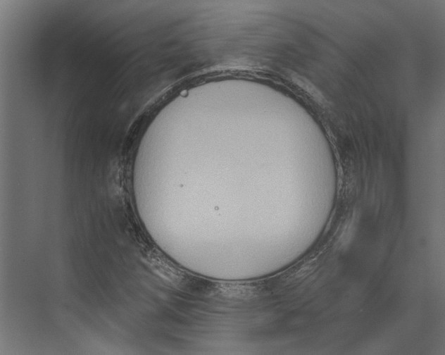 X0000073411258200608181046