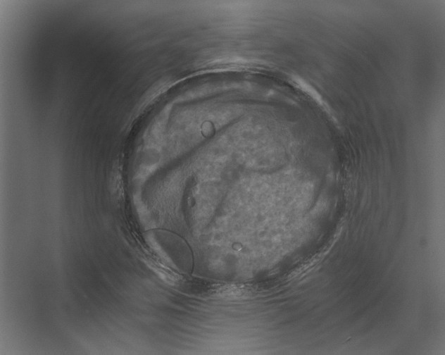 X0000073411259200608181046