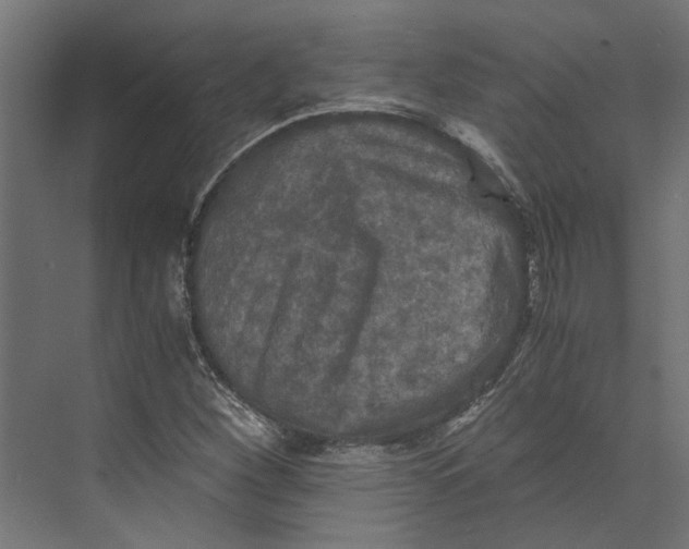 X0000073411260200608181046