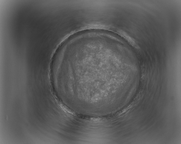 X0000073411264200608181046