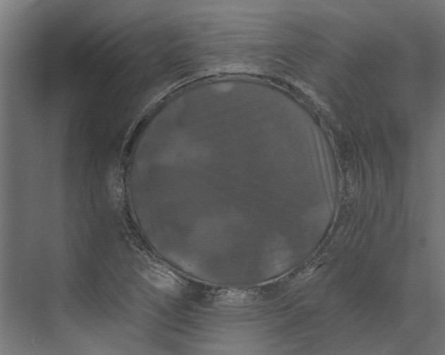 X0000073411266200608181046