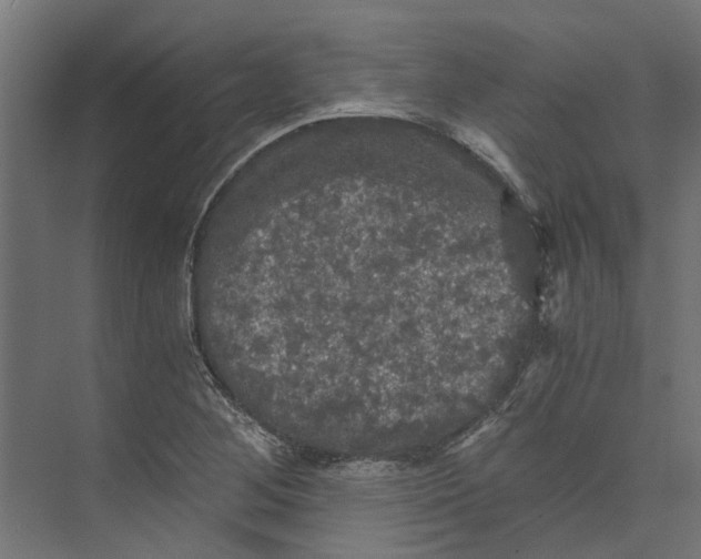 X0000073411268200608181046