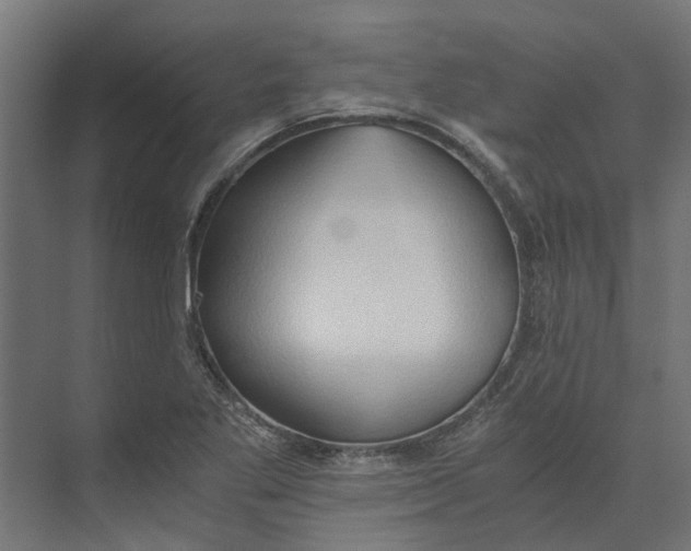 X0000073411269200608181046