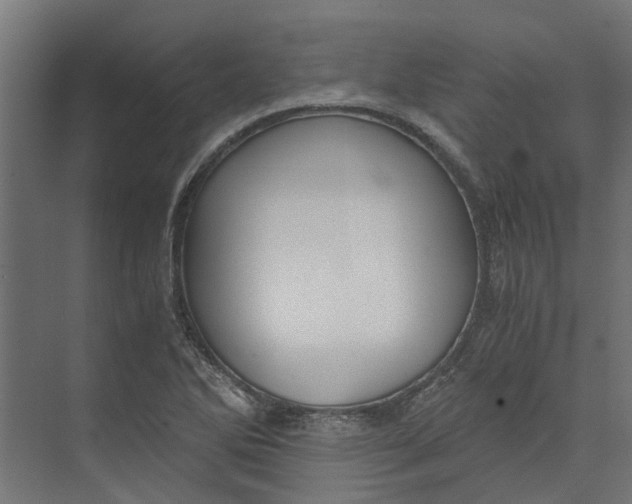 X0000073411270200608181046