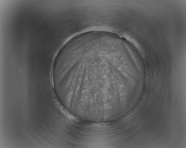 X0000073411272200608181046