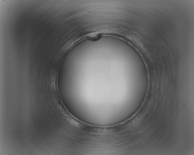 X0000073411273200608181046