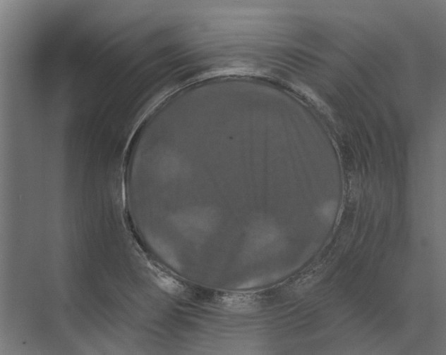 X0000073411274200608181046