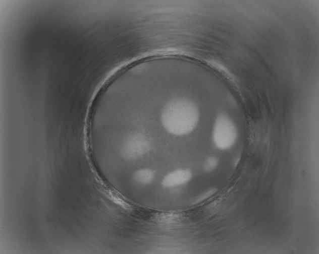 X0000073411278200608181046