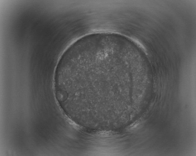 X0000073411279200608181046