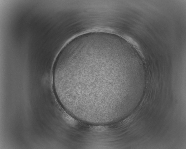 X0000073411280200608181046